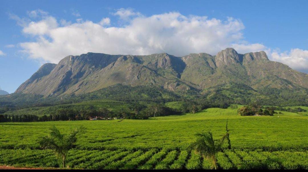 1 DAY MOUNT MULANJE ADVENTURE